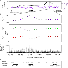 This adventure is available for students of year 2 and above. Red Fox Genome Assembly Identifies Genomic Regions Associated With Tame And Aggressive Behaviours Nature Ecology Evolution