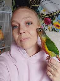 What to Feed Pet Birds: A Balanced Diet The best foods to give your pet  birds regularly include: * Fresh fruits like