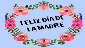 M's day transvaal daisy, dia de la madre, png. Feliz Dia Madres De La Cgr Feliz Dia De La Madre Png Full Size Png Download Seekpng