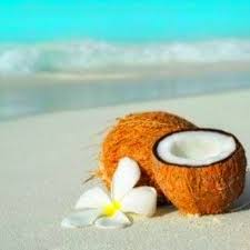 Cactus water is made with half the calories and sugar than lots of coconut water products sold according to nazarian, topically applying cactus water in oil form works wonders for your skin. Coconut Coconuts Beach Beach Fragrance Coconut Oil Deodorant