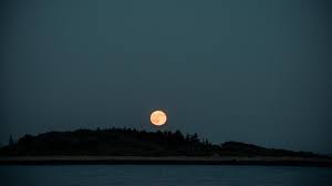 Goose rocks beach walk is a 6.4 kilometer lightly trafficked out and back trail located near kennebunkport, maine that offers the chance to see wildlife and is good for all skill levels. Goose Rocks Beach Beach Review Conde Nast Traveler