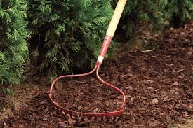 Plus, fences don't provide aesthetically pleasing scenery in your yard like hedges and bushes. How To Plant A Privacy Hedge This Old House