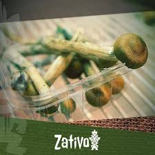 We did not find results for: I Modi Migliori Per Conservare Funghi O Tartufi Allucinogeni Zativo
