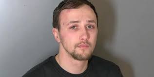 Foster lined up for puppy who suffered fractured bones in Macomb County  beating