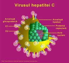 Iata pe scurt experienta lui ion, care este bolnav de hepatita c de multi ani. Infectia Cu Virusul Hepatitic C