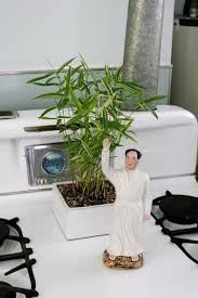 Maybe you would like to learn more about one of these? Retro House Plants Ideas From Troy