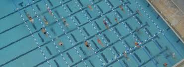 Palm beach is one of the best among beach home stay in alleppey and a stone throw away from the backwaters offers you a serene nook which you alleppey offers an exotic experience to the guest. Wellington Fl Official Website