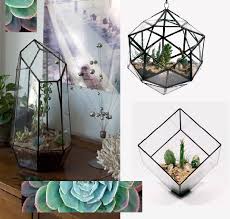 My Apt Needs A Terrarium Stat Crimson In Berkeley Has Some Pretty Amazing Ones Apartment Garden Terrarium Dish Garden Terrarium Plants
