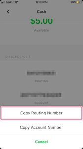 Screenshots will be generated at the right dimensions for quick upload to the stores. How To Find Your Cash App Routing Number And Set Up Direct Deposit