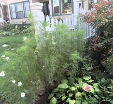 Check spelling or type a new query. Midwest Gardening Garden Landscape Design