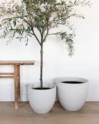 Contemporary Tapered Planters Set Of 2 Faux Olive Tree Planters Indoor Olive Tree