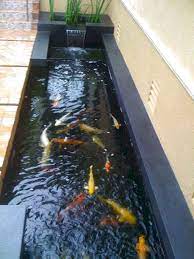 47 Amazing Backyard Ponds And Water Garden Landscaping Ideas The Expert Beautiful Ideas Fish Ponds Backyard Fish Pond Gardens Ponds Backyard