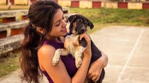 A man bumps into an old crush and holds her captive underneath the animal shelter where he works. What 2020 Meant For Both Pets And Pet Parents