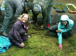 Check your yard, garage or tool shed for garden products and equipment that should be stored indoors for the winter. Grow Moss In Winter Speaking Of Landscapes Llc