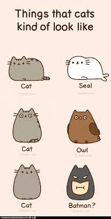 Pin On Cats Kitties Chats