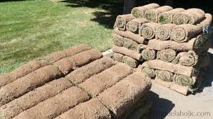 Learn how to prepare soil for sod and measure the space, along with sod care tips to make sure. Remodelaholic Pro Tips For Diy Sod Installation