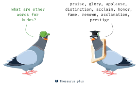 More 300 Kudos Synonyms Similar Words For Kudos