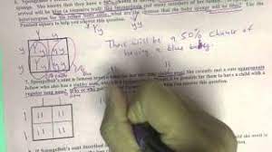 Some of the worksheets for this concept are incomplete dominance work answers, incomplete and codominance work name, genetics punnett squares practice packet answers. Bikini Bottom Genetics 2 Youtube