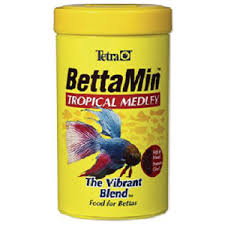 .and flakes north fin betta bits new life spectrum betta pellets fluval tropical bug bites. Best Food For Betta Fish Fish Care