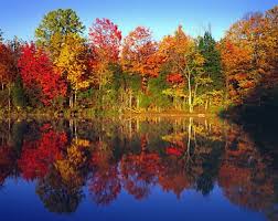 Resultat d'imatges de Tardor