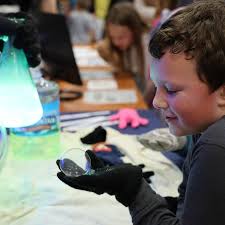 University of Illinois Springfield