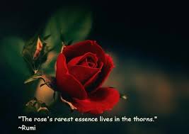 Pin By Erica On Rumi Rumi Love Quotes Rumi Quotes Rumi Love