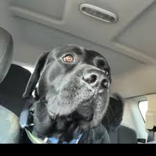 Marc Calnan (@MarcCalnan)