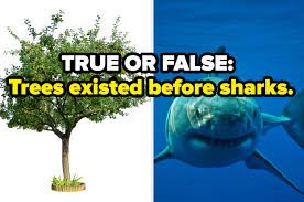 If you have a small chance of guessing the correct answer before, you now have 50% of getting the correct answers. Tough General Knowledge True False Quiz