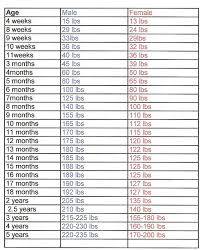 Detailed Puppy Growth Chart Pekingese Westie Puppy Weight