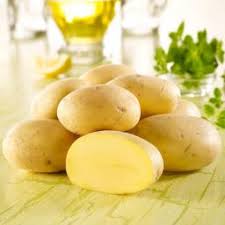 So zahlreich die sorten der kartoffel. Kartoffel Pflanzen Pflege Und Rezepte Gartner Potschke