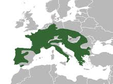 Edinilen bilgiye göre, metruk binadan dumanların yükselmesi üzerine olay. Fire Salamander Wikipedia