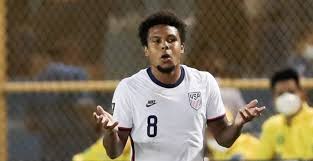 Coming through the youth system, mckennie began his senior. Dzuzghnasfcwkm