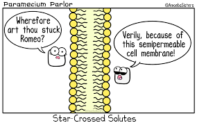Download now for free this insect cartoon cell membrane beak line transparent png image with no background. A Little Shakespeare In The Cell Membrane