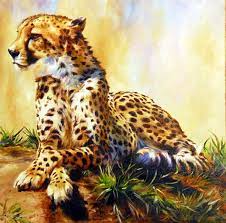 Relaxed Cheetah Painting By Sonia Reid