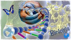 Resultado de imagen para BIOLOGIA