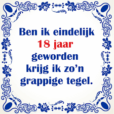 Grappige Spreukentegel 18 Jaar Verjaardag Goedkoop