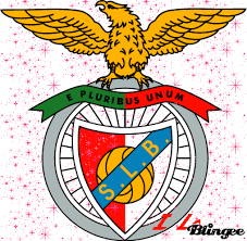 Https Encrypted Tbn0 Gstatic Com Images Q Tbn 3aand9gctokrsafl9nzl8paam8arvy93uf4s9lspnajg Usqp Cau