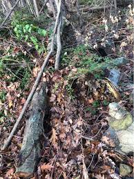 Free fire starters with every order. Free Firewood Wood Lumber Miscellaneous Items Weston Connecticut Facebook Marketplace Facebook