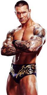 20120305095650260 Png 595 1200 Randy Orton Wrestling Superstars Wrestling Wwe