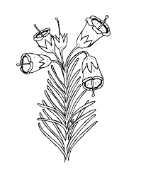 Planse de colorat cu flori. Desene De Colorat Cu Flori 16 Planse De Colorat Si Educative