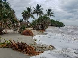 Hurricane Michael Impacts Swfl Coastal Communities Wgcu News