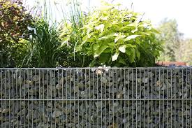 Hangbefestigung 9 Gunstige Losungen Zur Hangsicherung Im Garten In 2020 Rosenarten Bepflanzung Hydrangea Petiolaris