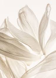 Beautiful vector, photo and png textures. 51 Pure Ideas Pure Products White Aesthetic Shades Of White