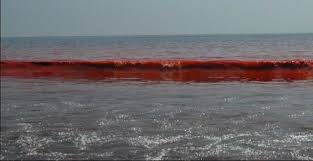 Tahun 2013 palestina, israel dan yordan sepakat membangun pipa sepanjang 180 km yang menghubungkan laut merah dan laut mati. Penjelasan Ilmiah Kisah Nabi Musa Membelah Laut Merah Kaskus