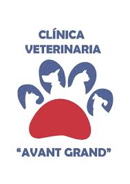 Avant Grand Veterinaria