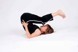 Yoga exercises to prevent osteoporosis. Osteoporosis Exercises To Avoid Exercise Contraindications Precautions