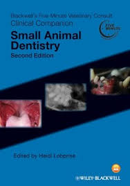 Five Minutes Small Animal Dentistry Clini 5