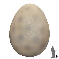 Eggs Clipart Dino Eggs Dino Transparent Free For Download On Webstockreview 2020 Browse the user profile and get inspired. eggs clipart dino eggs dino