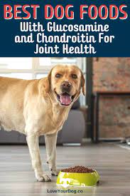 Best Dog Food With Glucosamine And Chondroitin For Joint Health Best Dog Food Dog Food Recipes Grain Free Dog Food