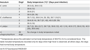 Simply place the tip of the thermometer into the armpit area and hold your dog's arm down until the thermometer beeps (this usually takes longer than it does for the rectal). then, add one degree to the thermometer's reading to get a general idea of your dog's body temperature. Body Temperature Changes In Dogs Infected With E Canis E Download Table